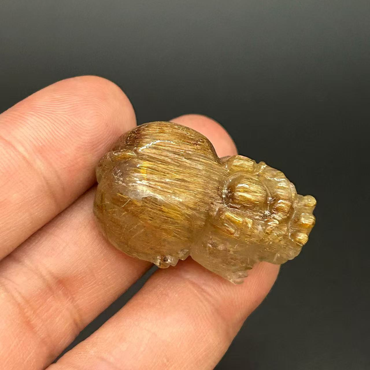 Golden Rutilated Quartz Pi Xiu Fortune Keeper-04 4