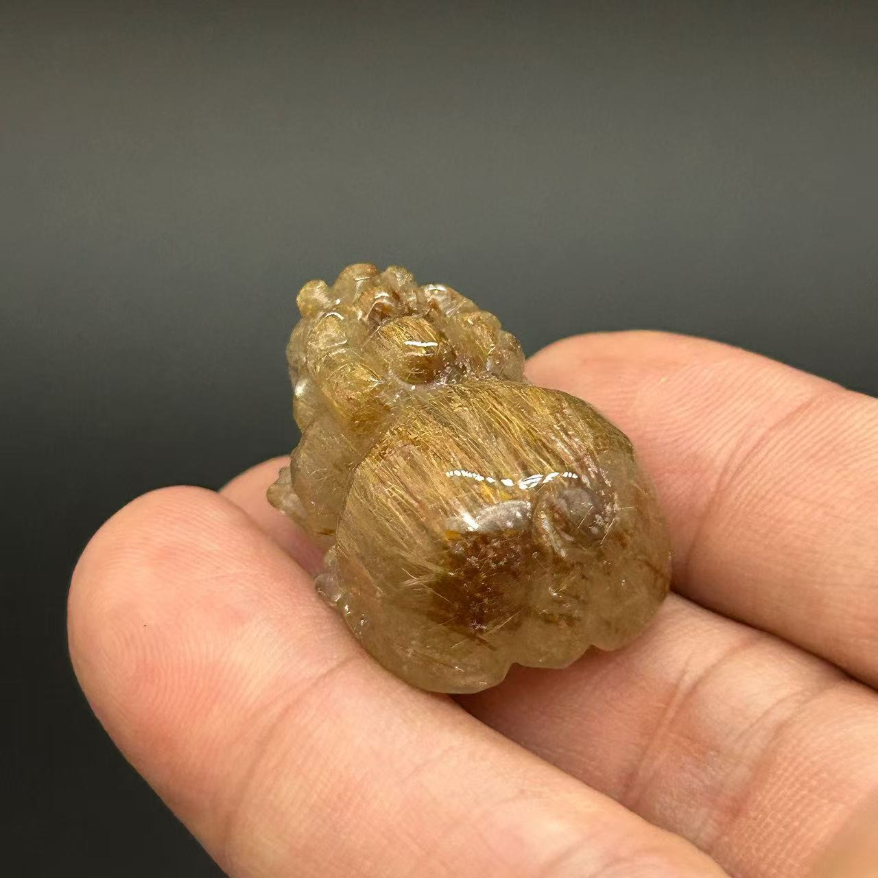 Golden Rutilated Quartz Pi Xiu Fortune Keeper-04 5