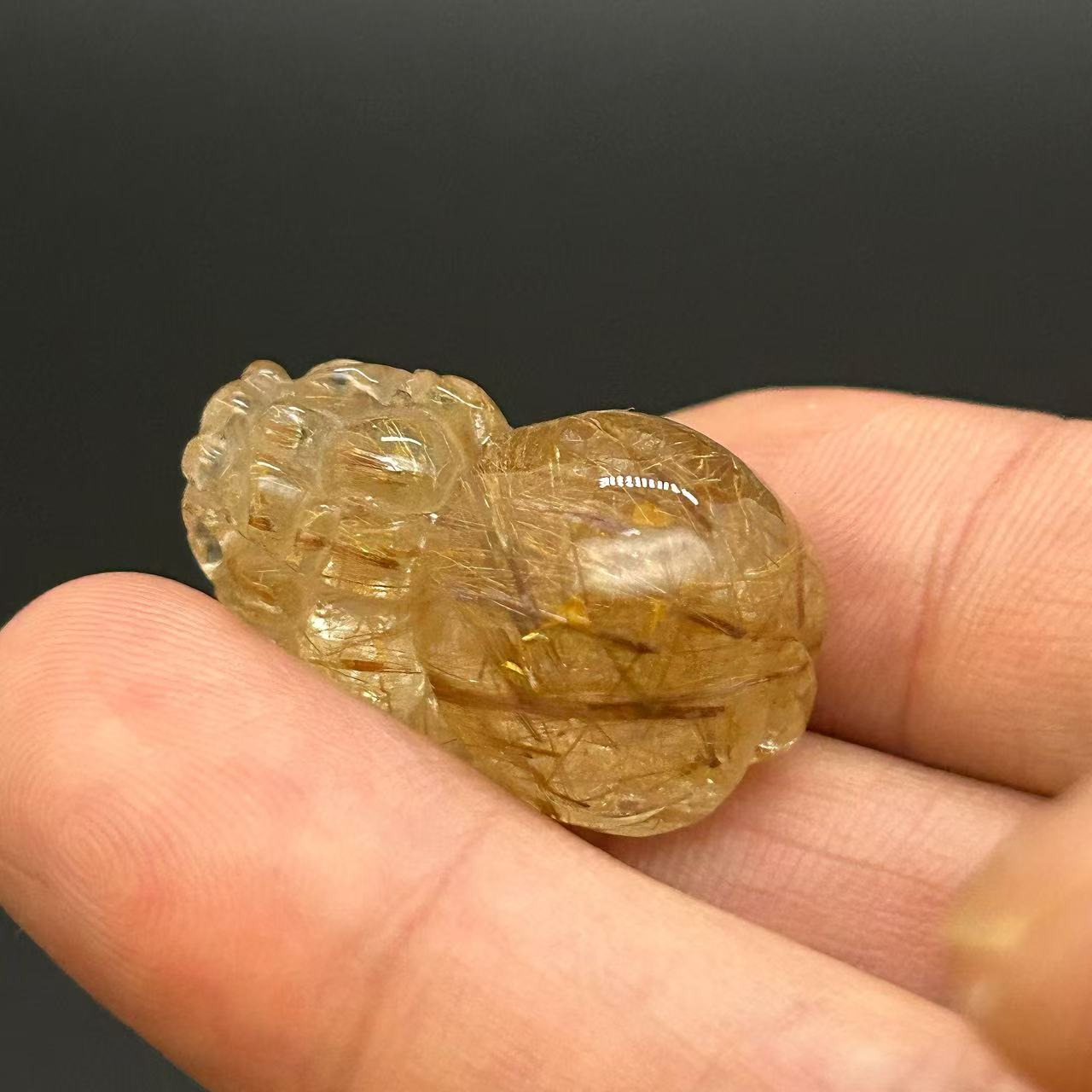 Golden Rutilated Quartz Pi Xiu Fortune Keeper-10 6
