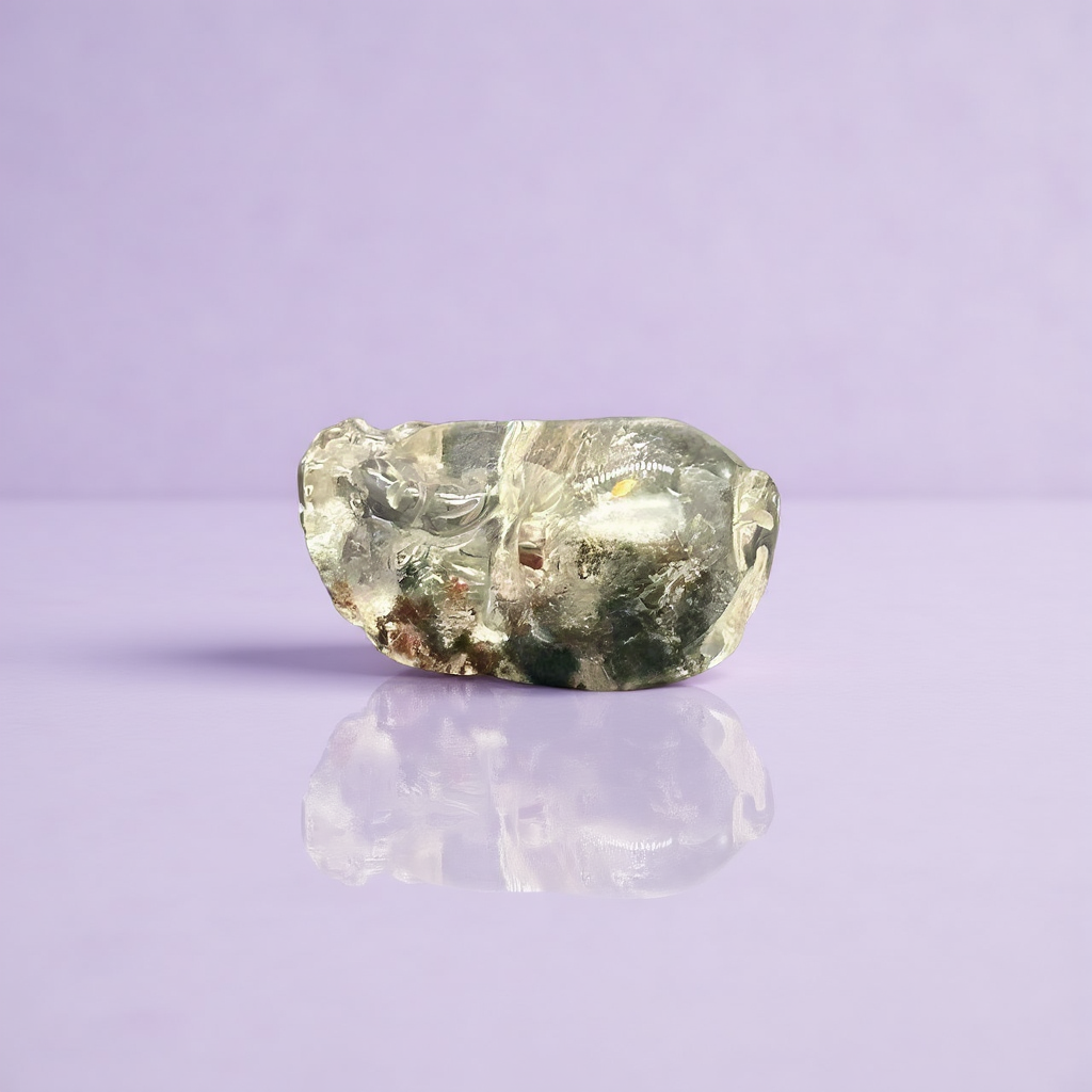 Collector-Grade Garden Quartz Pi Xiu Fortune Keeper-A