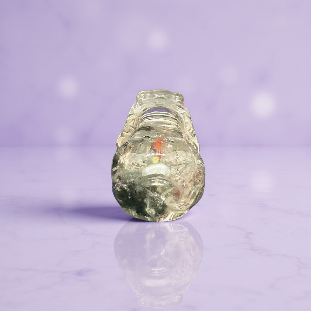 Collector-Grade Garden Quartz Pi Xiu Fortune Keeper-A 2