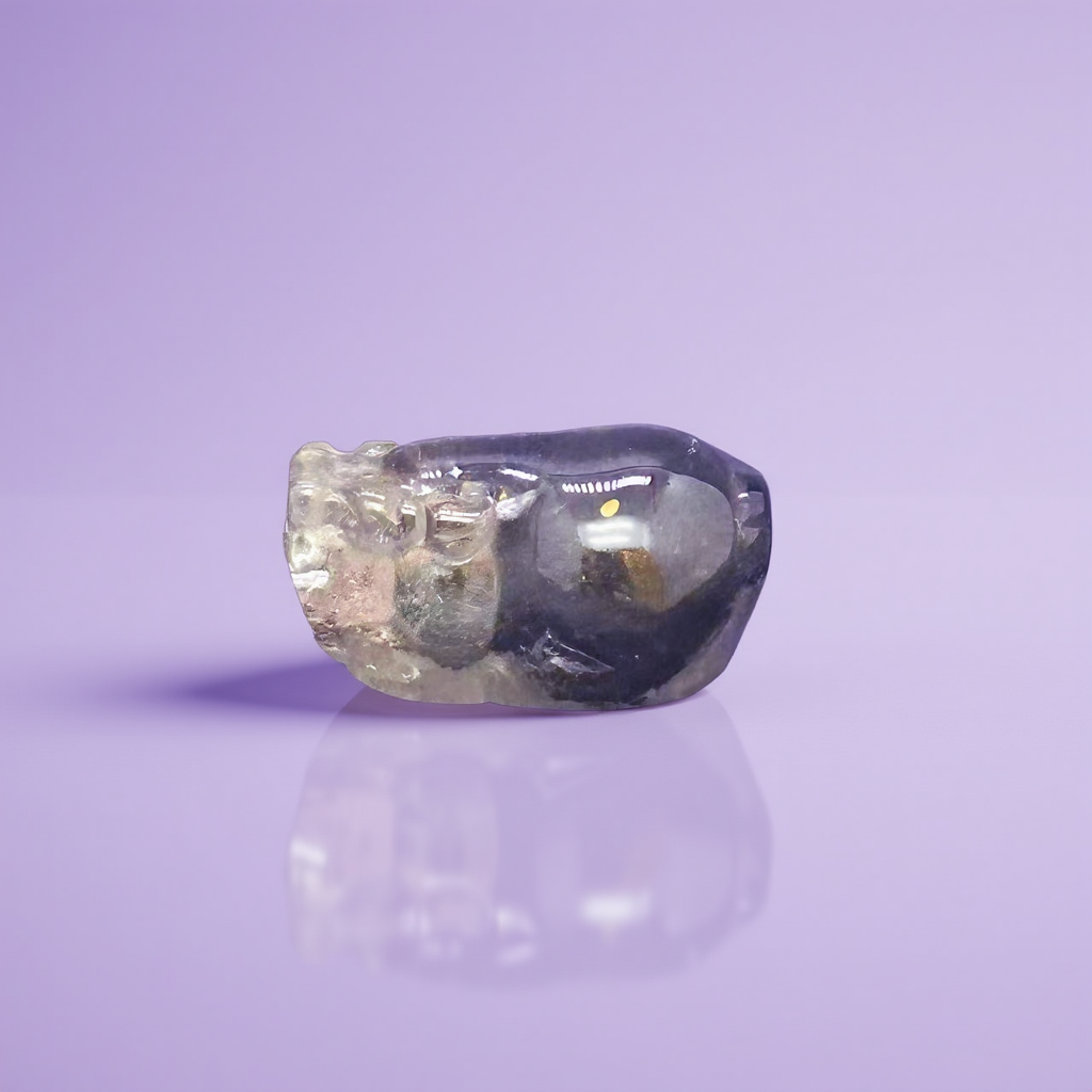 Collector-Grade Garden Quartz Pi Xiu Fortune Keeper-X
